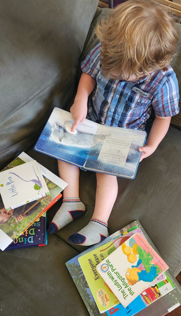 Child pointing to image on book page