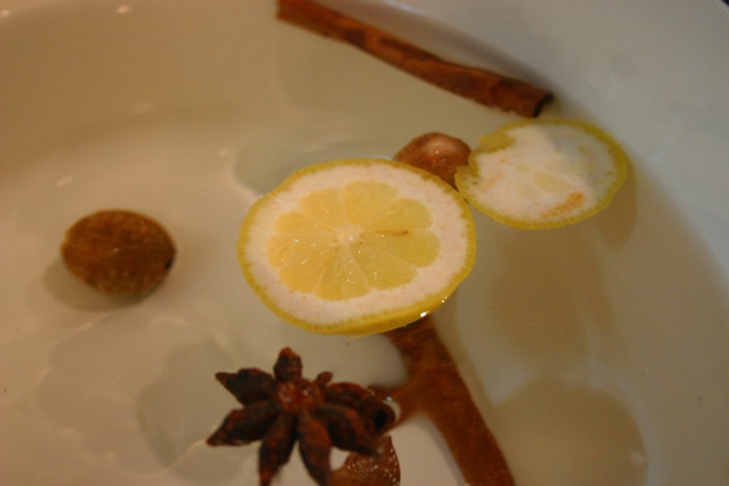 Ingredients in a simmer pot