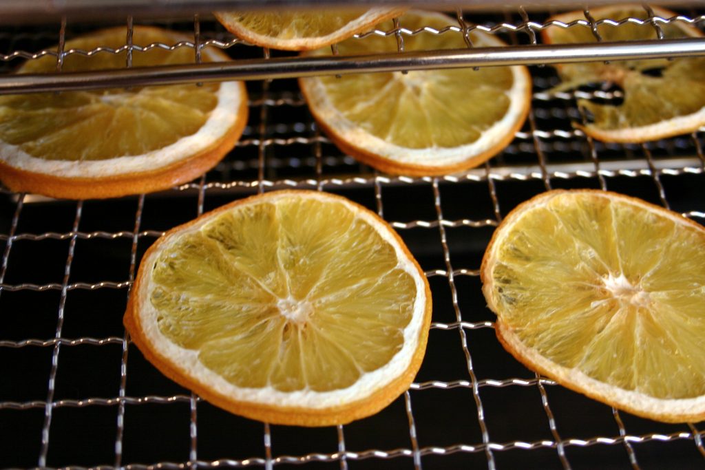dehydrating oranges in a dehydrator