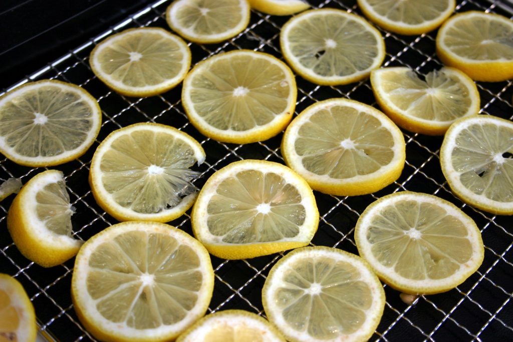 Fruit sliced and lined up on a dehydrating tray