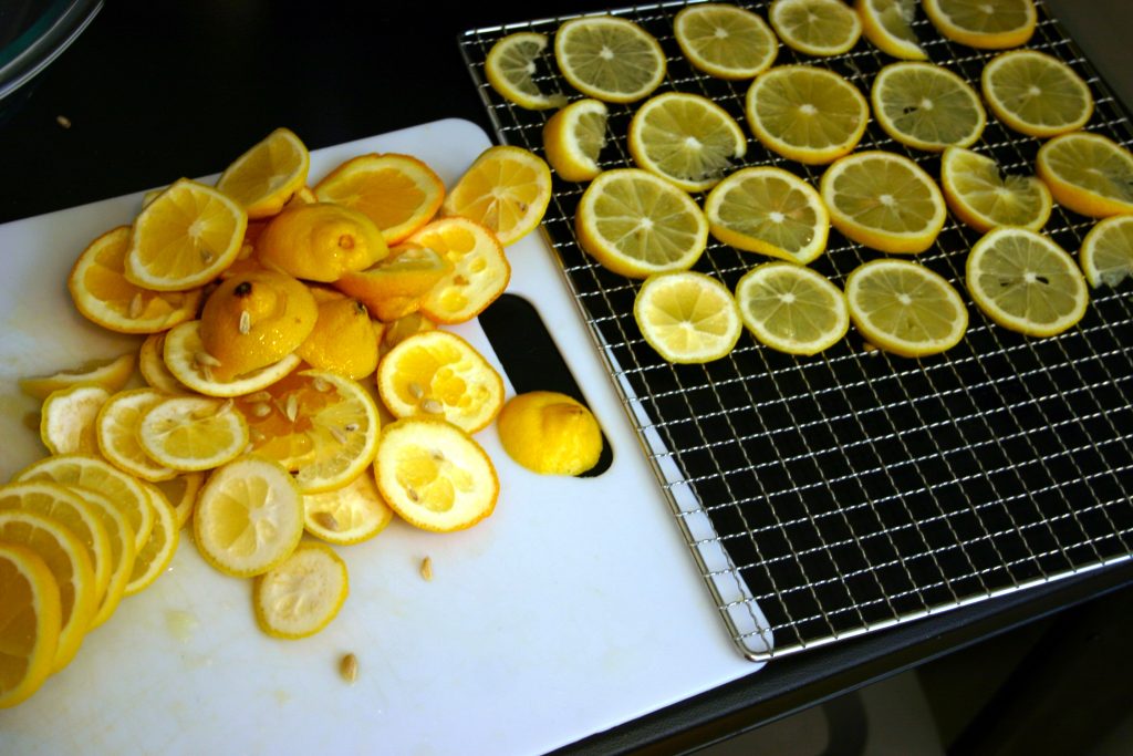 thinly sliced lemons on a dehydrating tray