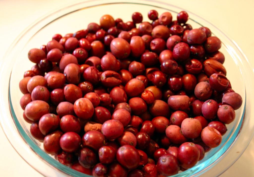 bowl of cranberries