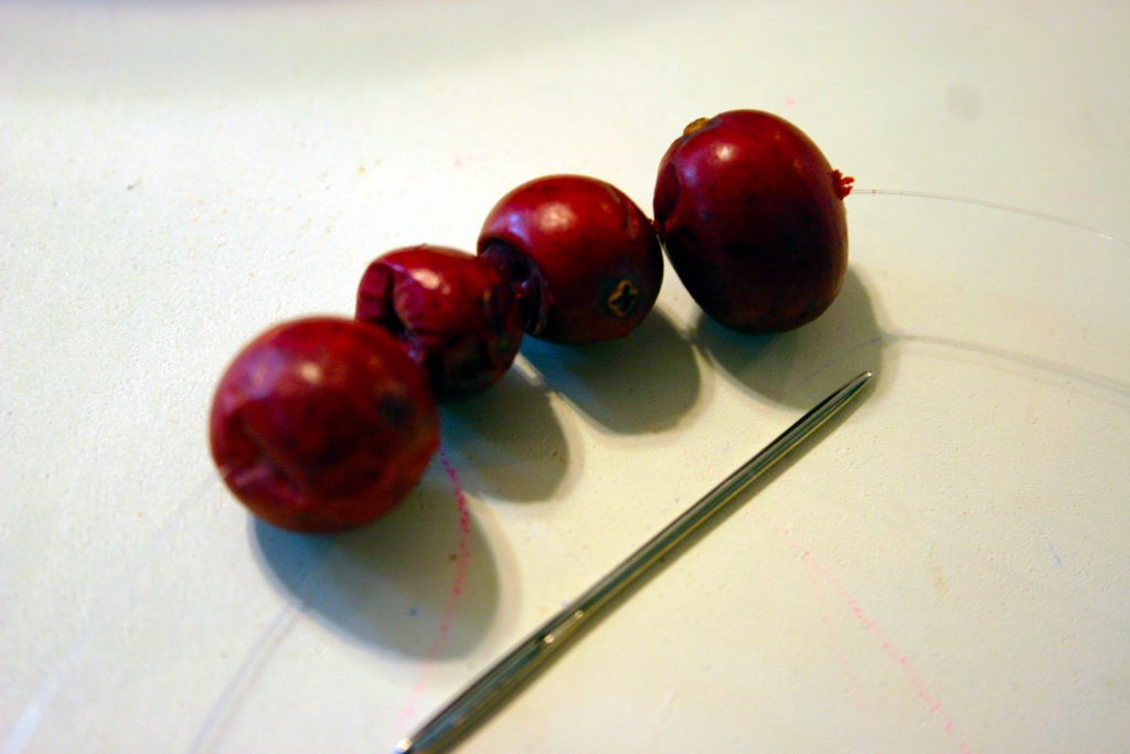cranberries strung onto a wire with a yarn needle
