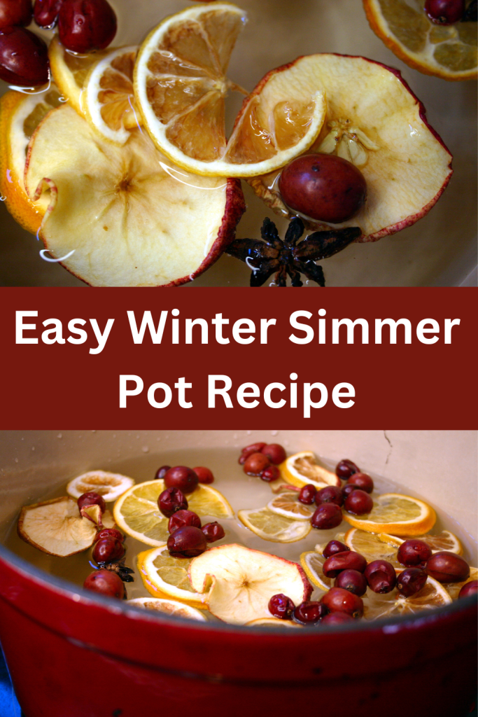 images of a simmer pot with orange and cranberry with text