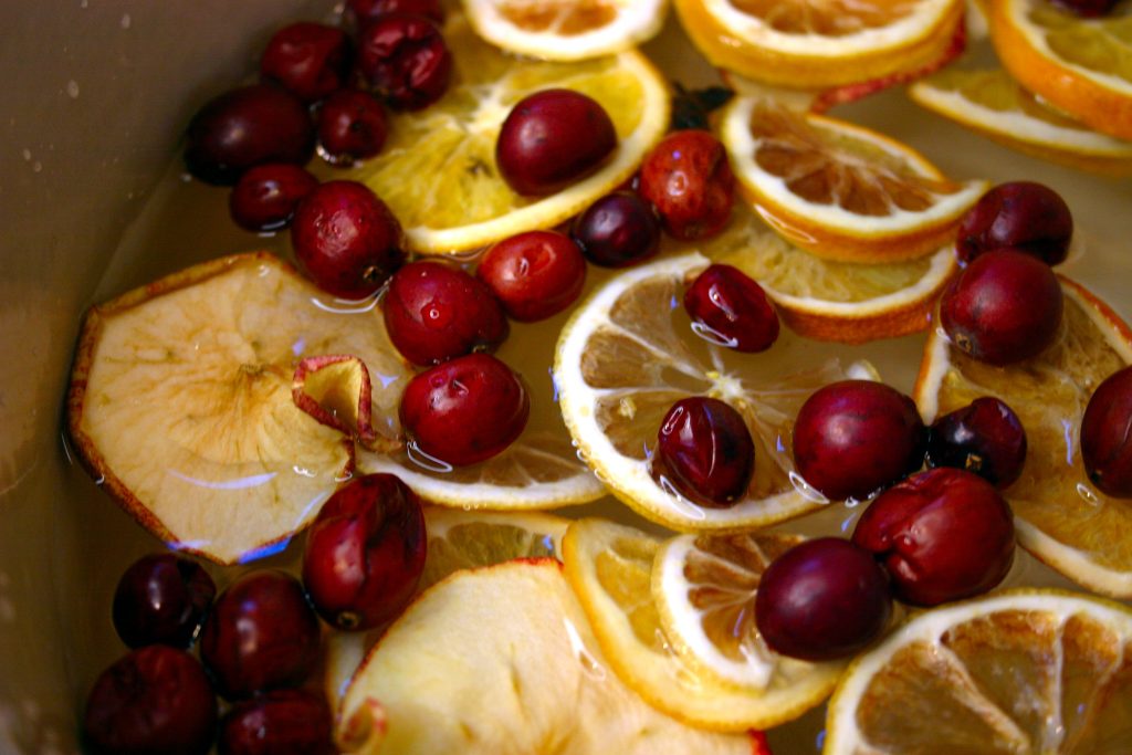 orange, apple, cranberry in a simmer pot